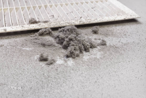 Best Affordable HVAC Duct Cleaning  in Clinton, LA