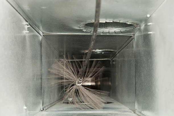 Best Air Duct Mold Removal  in Clinton, LA
